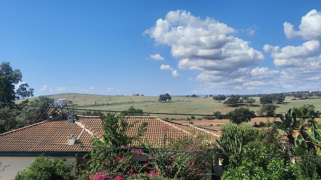 Photo of Others in Guillena