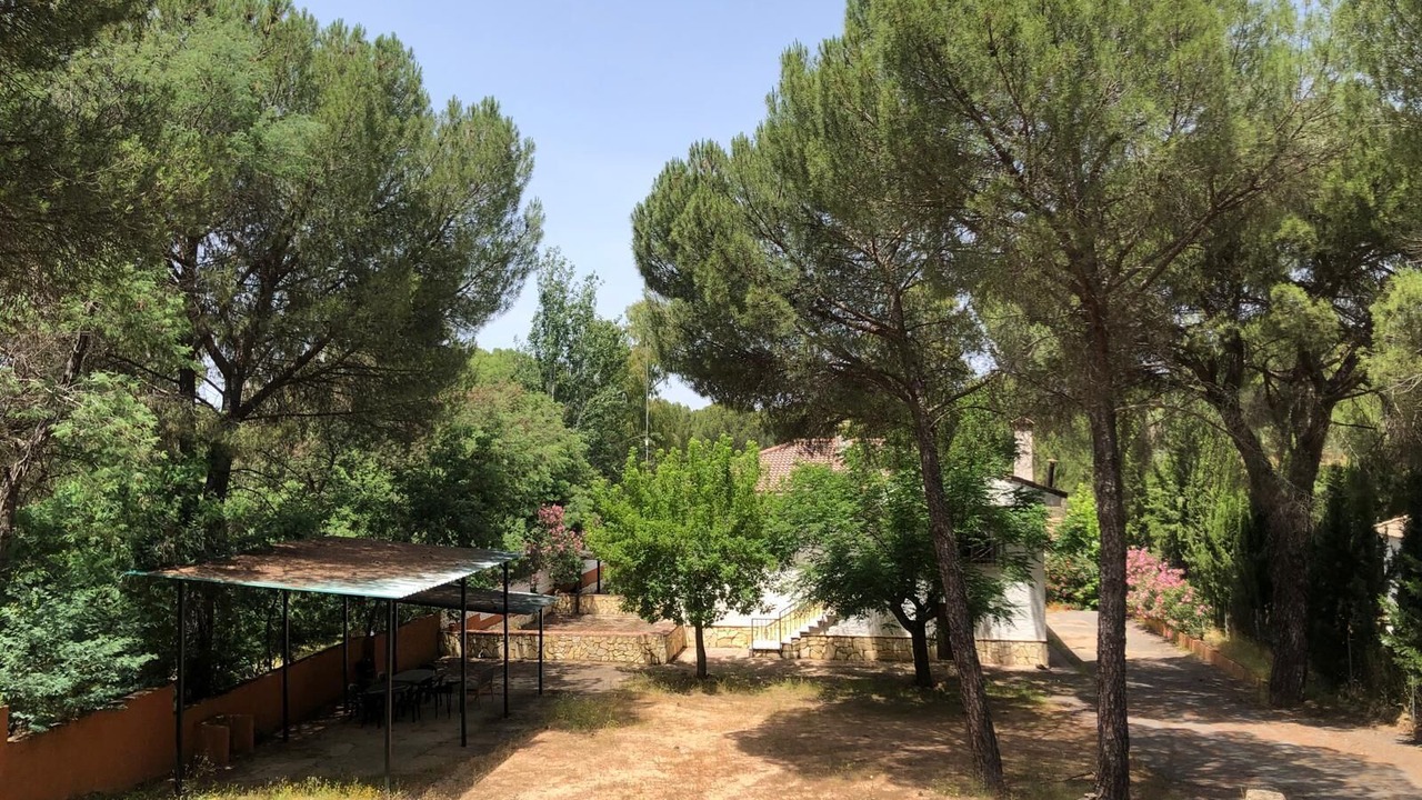 Photo of Outdoor in Las Jaras