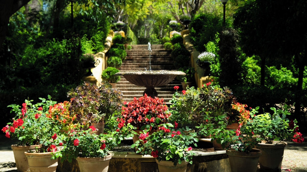 Photo of Outdoor in Torre de la Reina