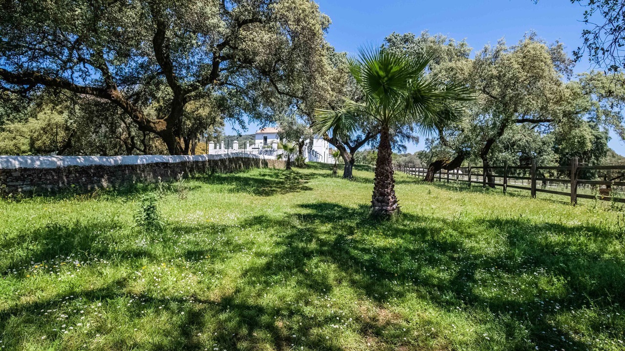 Photo of Outdoor in Aracena