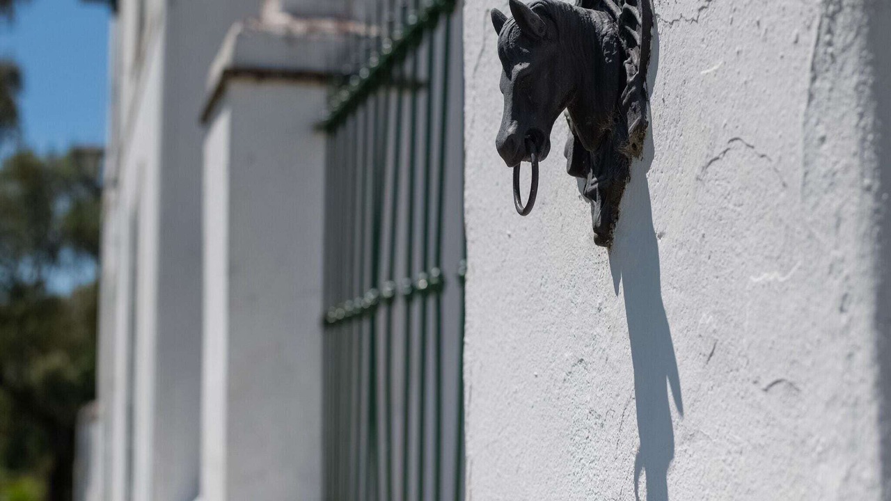 Photo of Outdoor in Aracena