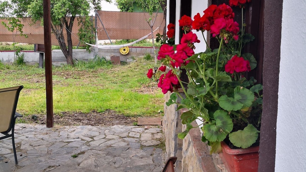 Photo of Patio Balcony in Niguelas