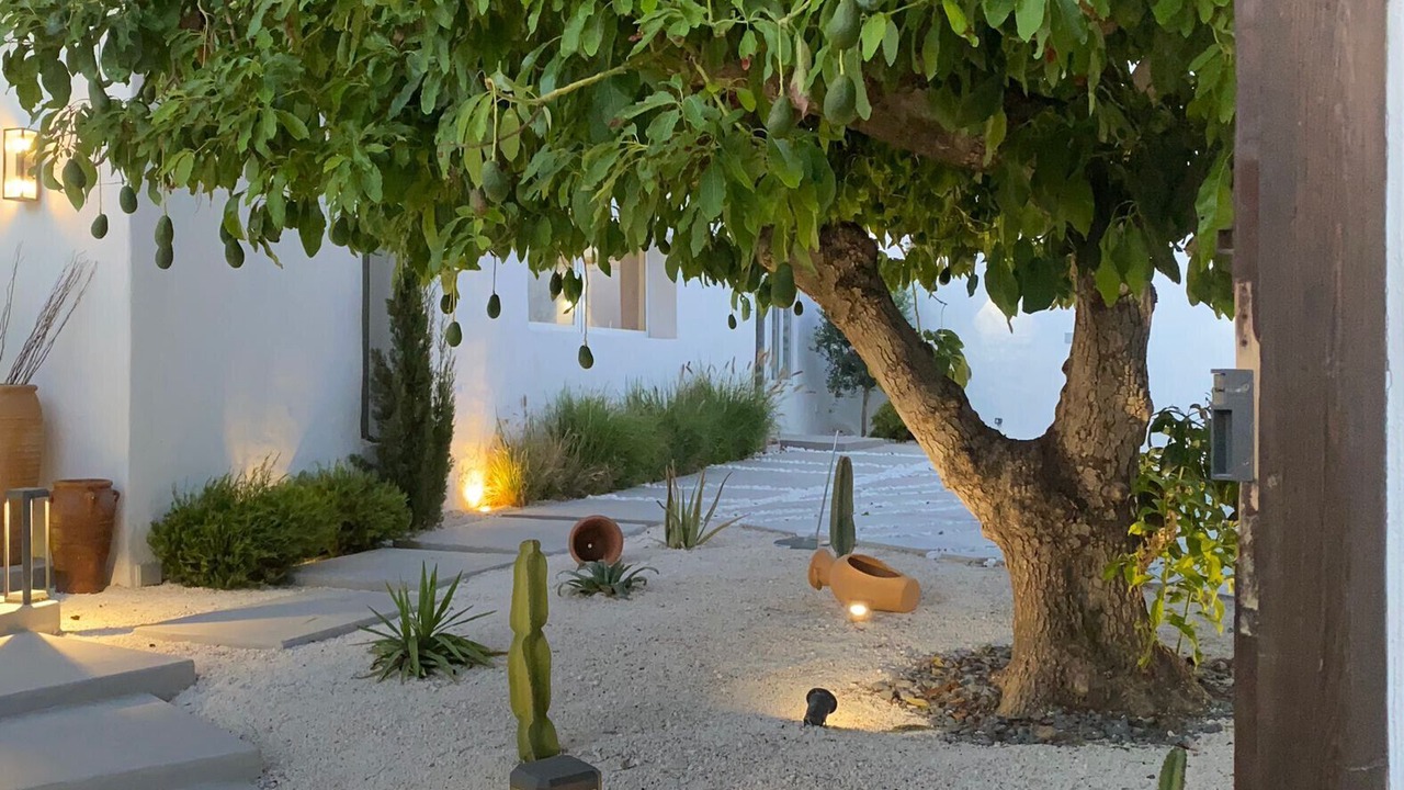 Photo of Outdoor in Guadalmina