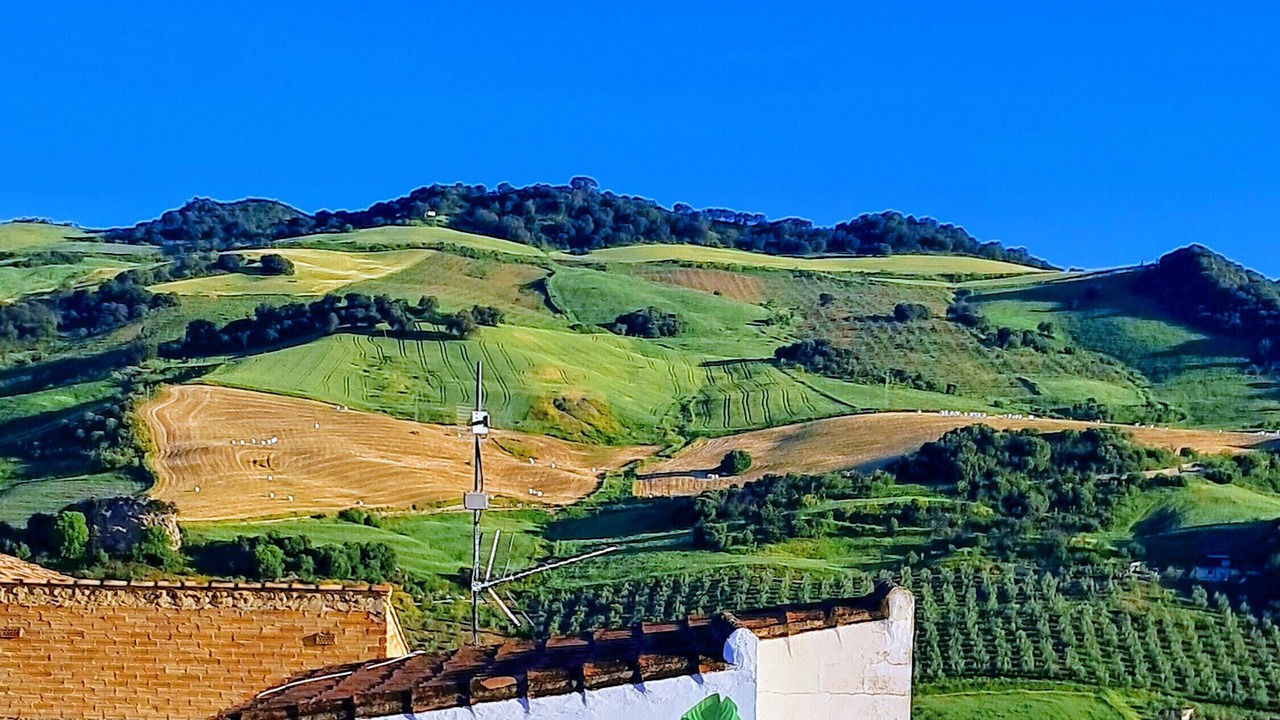 Photo of Outdoor in Montecorto