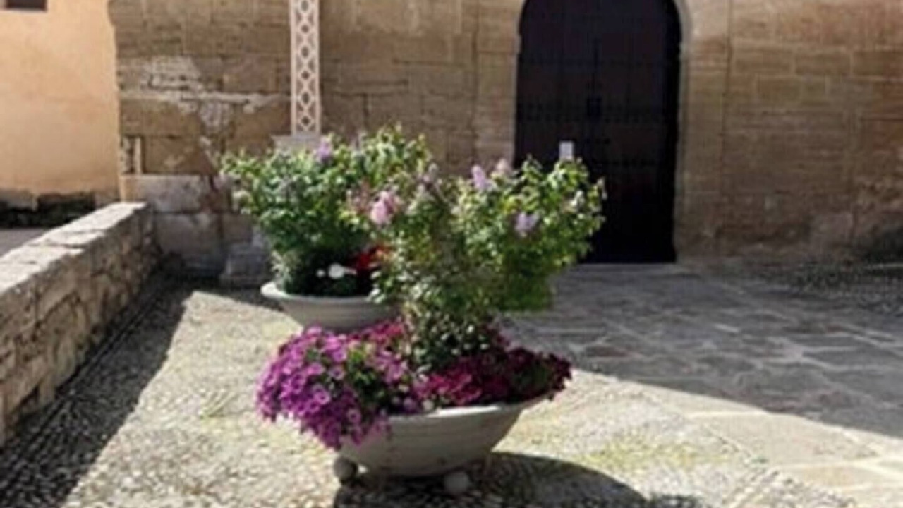 Photo of Outdoor in Alhama de Granada