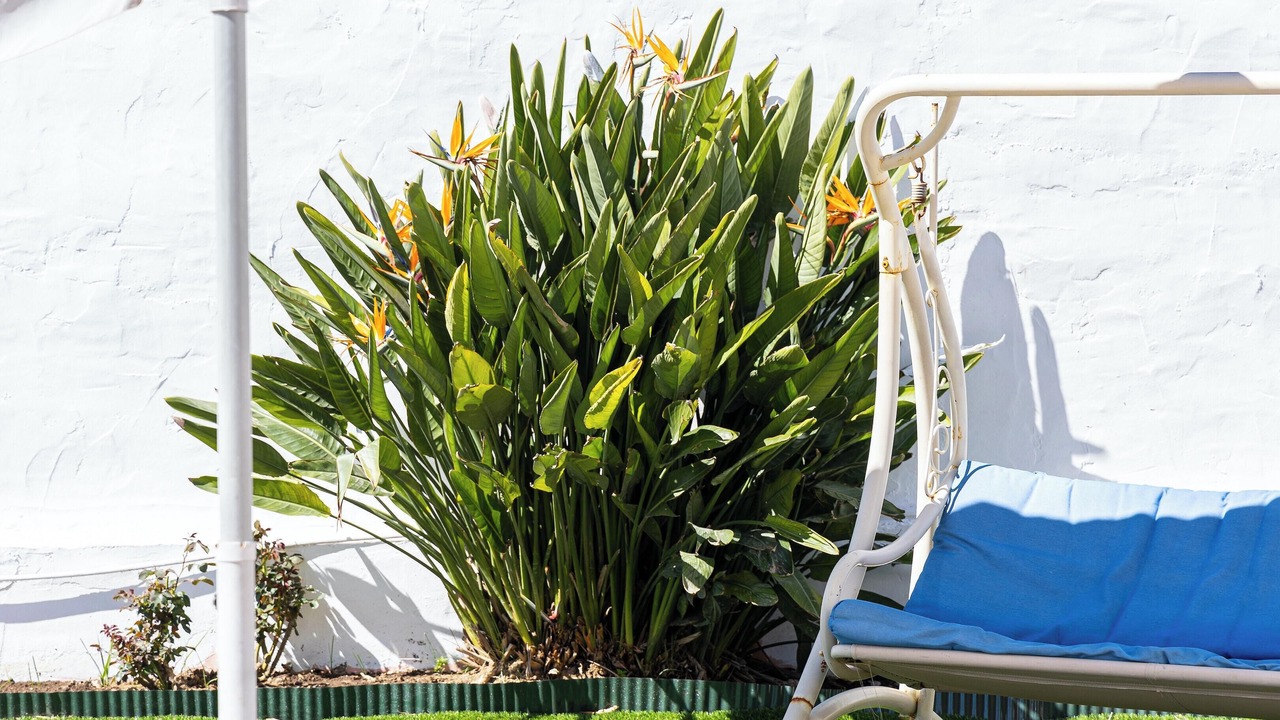 Photo of Outdoor in Valle del Guadalhorce
