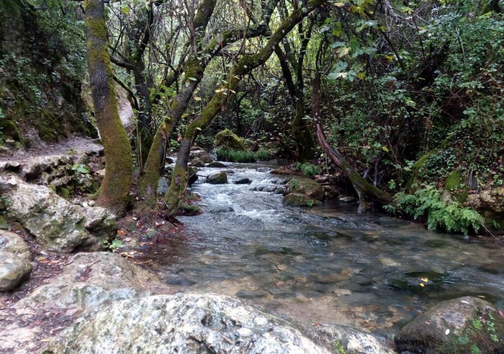 Photo of Outdoor in El Bosque