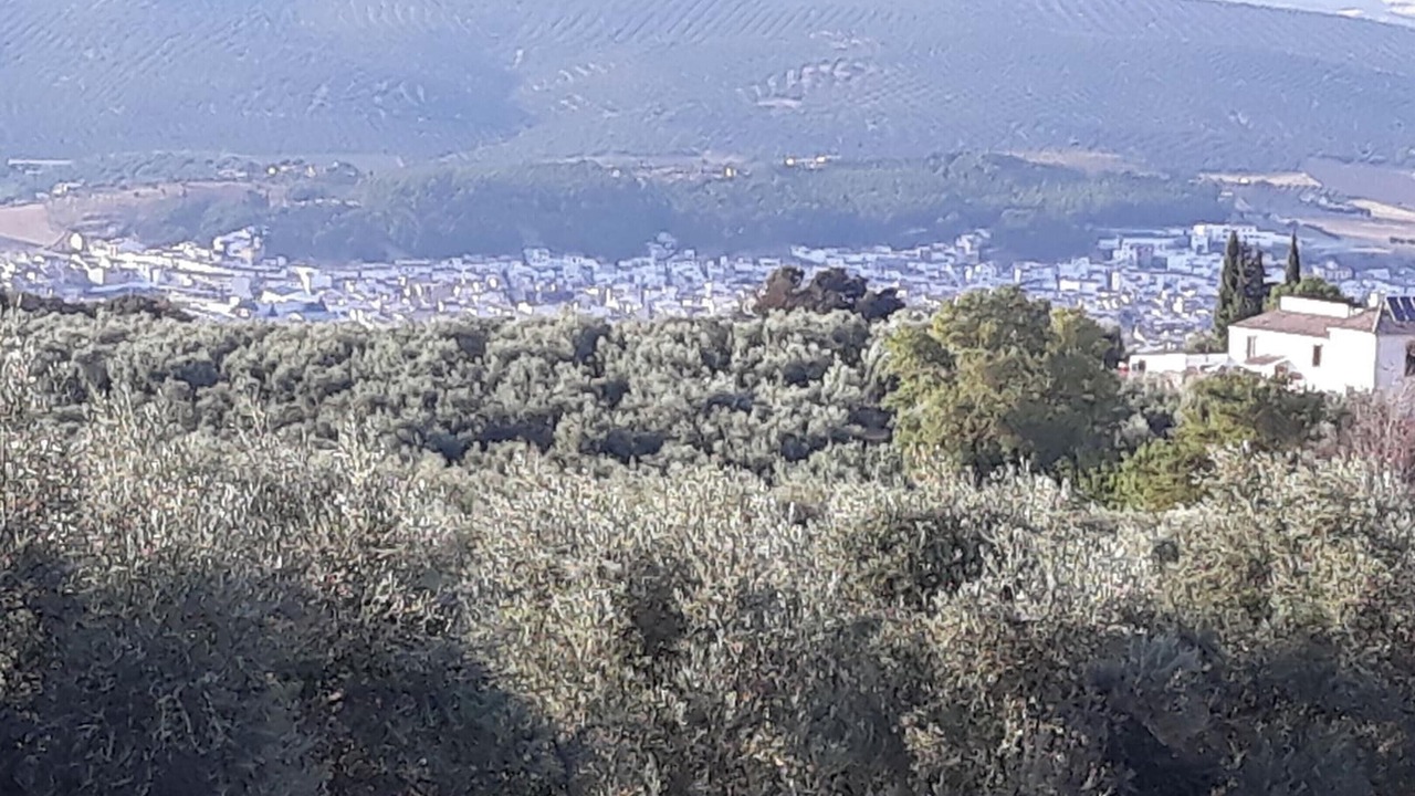 Photo of Outdoor in Villanueva del Rosario