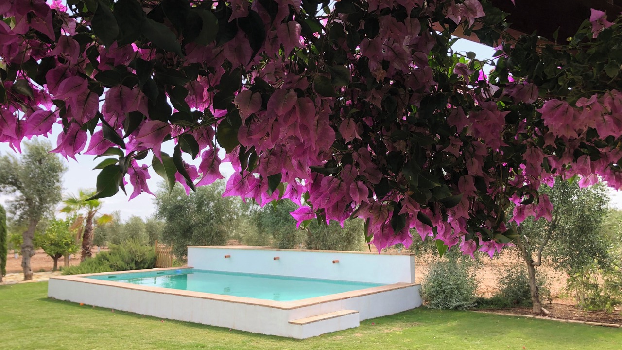 Photo of Outdoor in Osuna