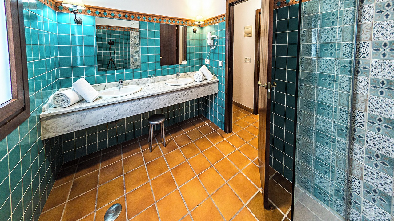 Photo of Bathroom in Calabazares
