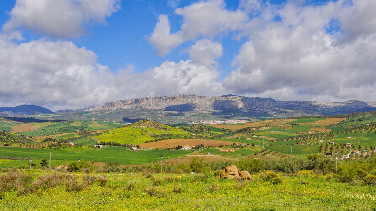 Photo of Outdoor in Almogia