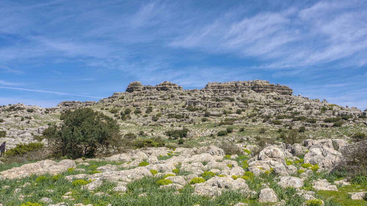 Photo of Others in Almogia