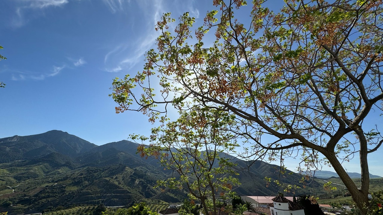 Photo of Outdoor in Carratraca