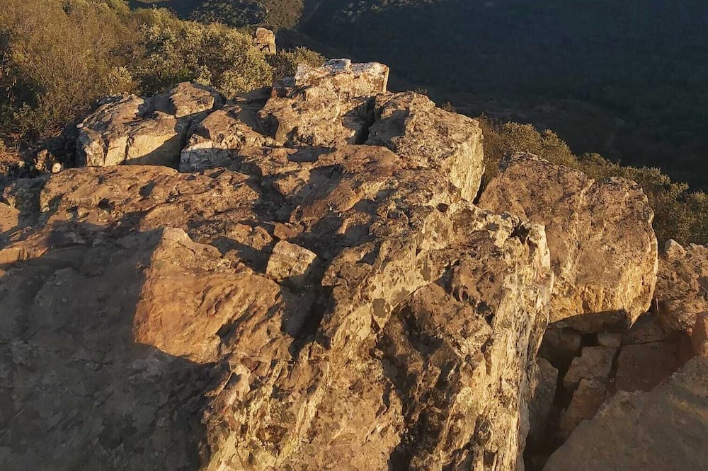 Photo of Others in Solana del Pino