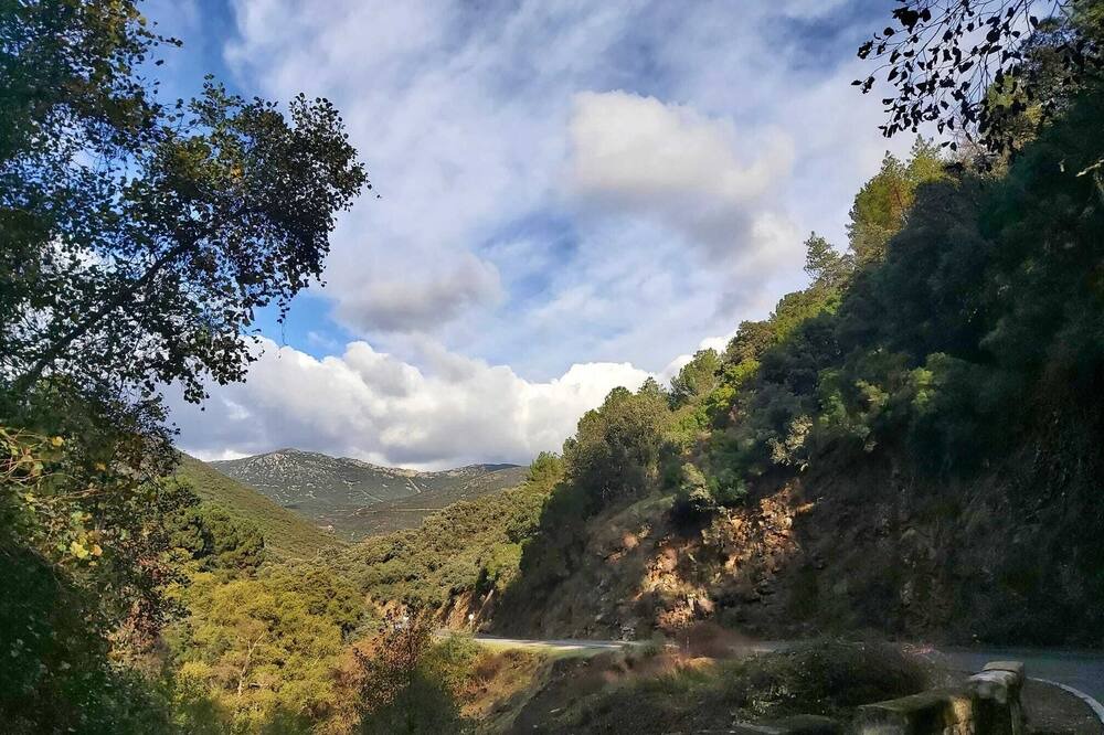Photo of Others in Solana del Pino