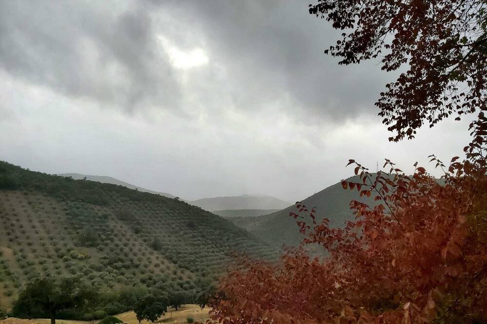 Photo of Outdoor in Solana del Pino