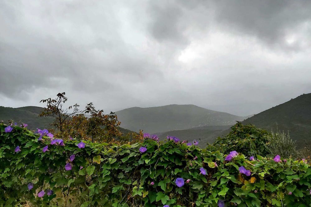 Photo of Outdoor in Solana del Pino