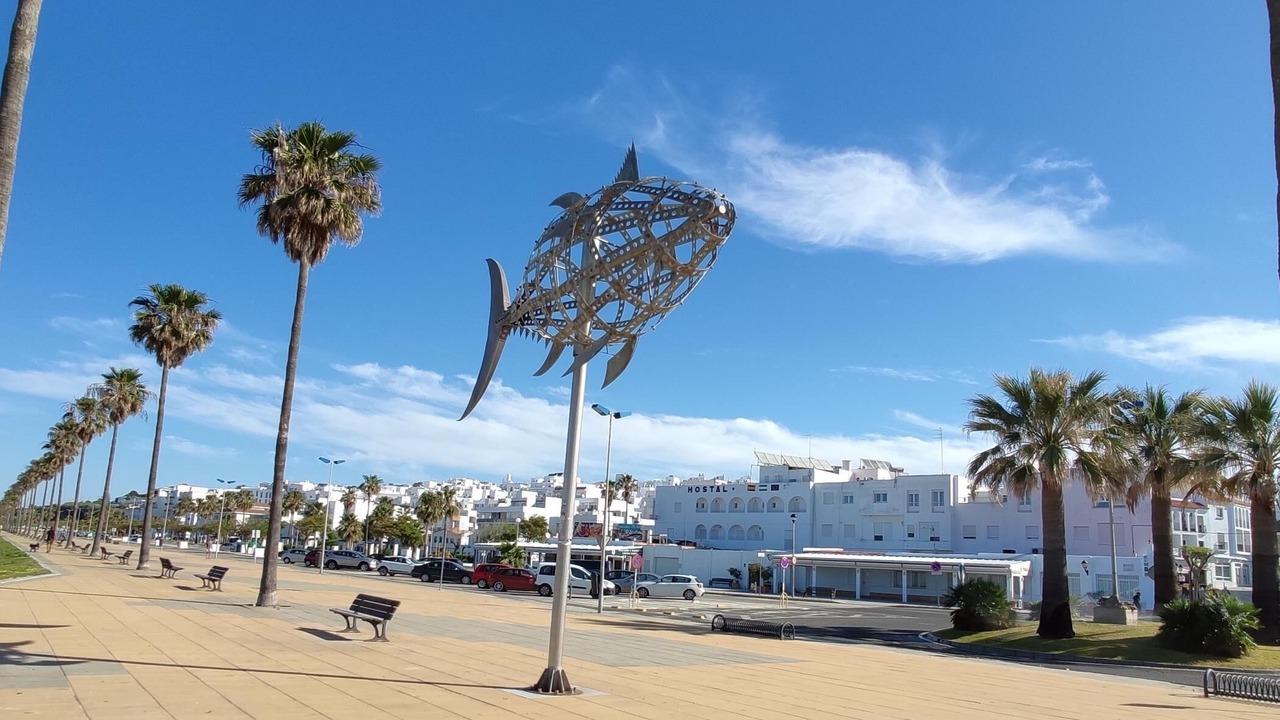 Photo of Others in Conil de la Frontera City Center