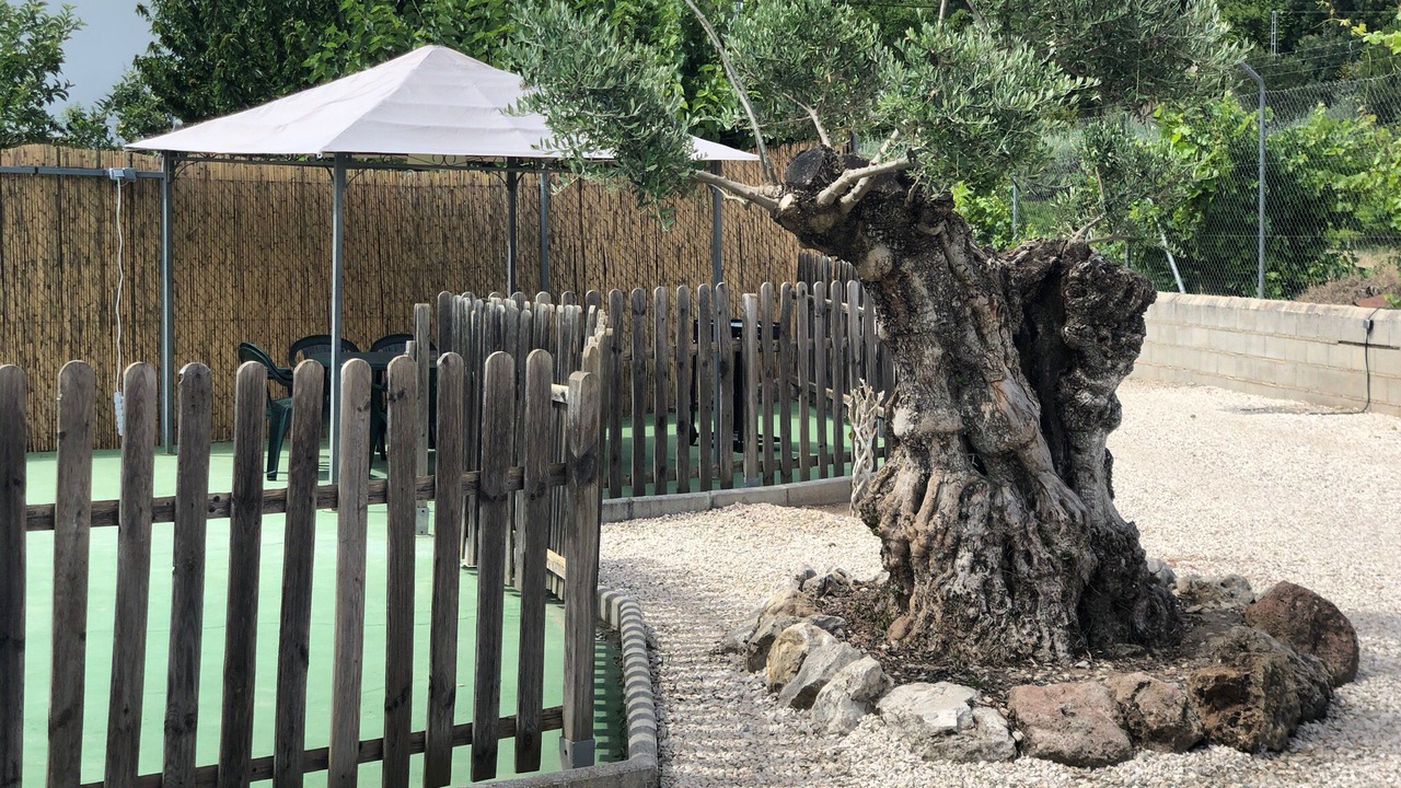 Photo of Outdoor in Priego de Cordoba