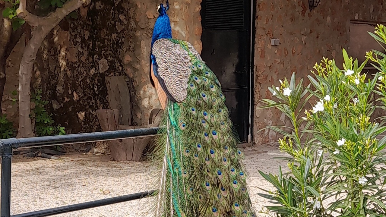 Photo of Outdoor in Humilladero
