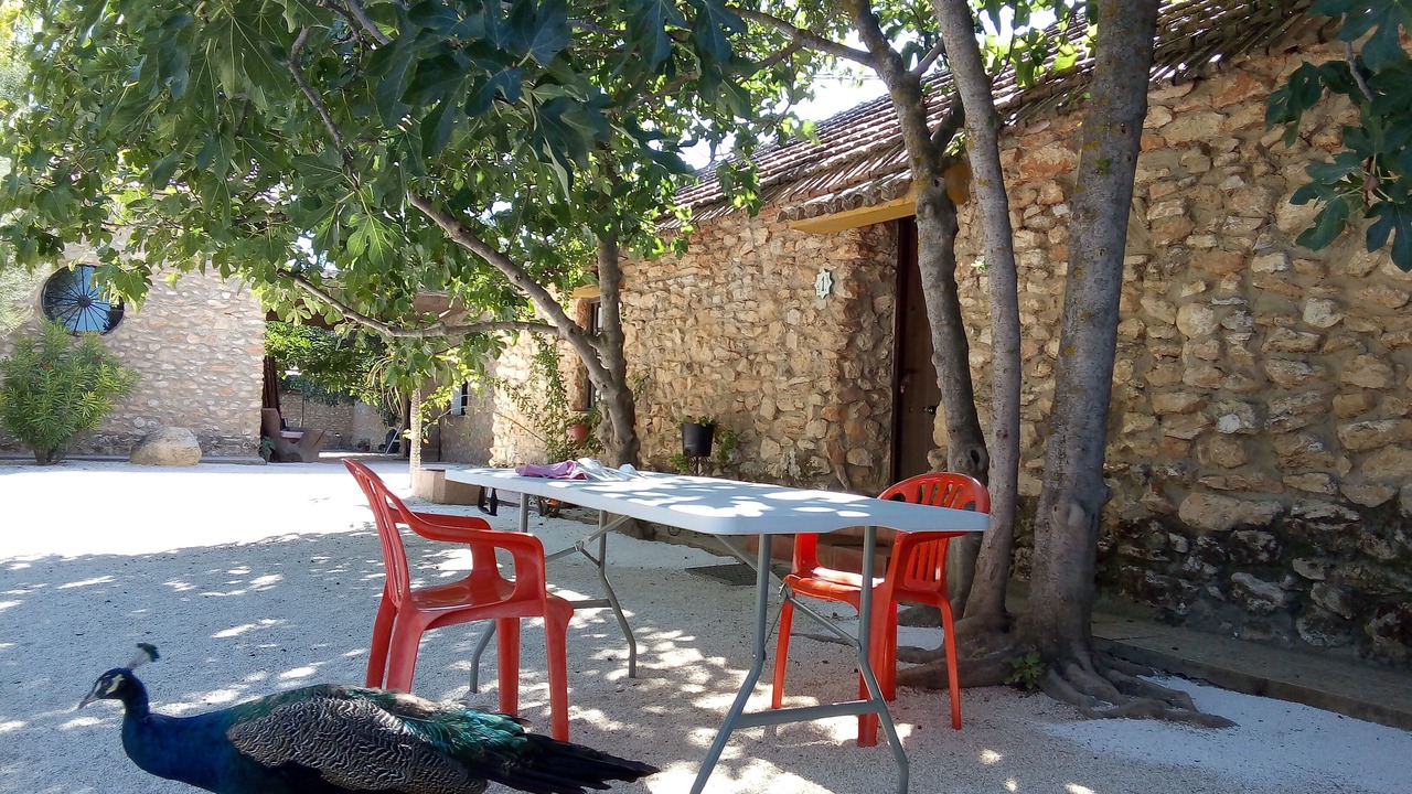 Photo of Outdoor in Humilladero