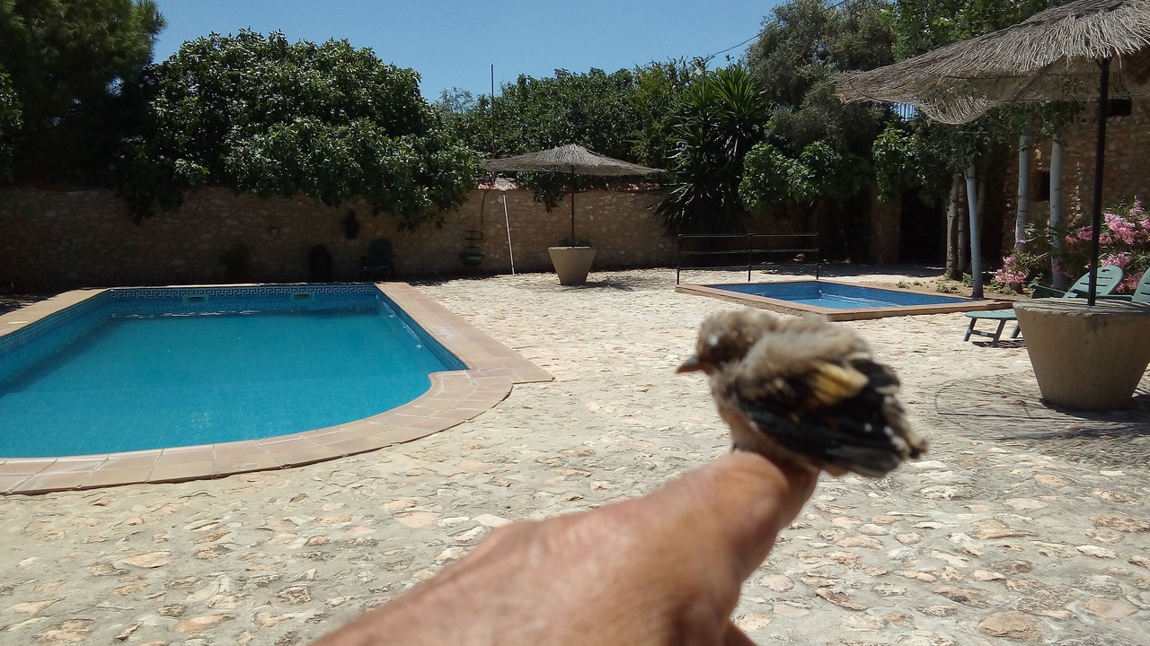 Photo of Outdoor in Antequera