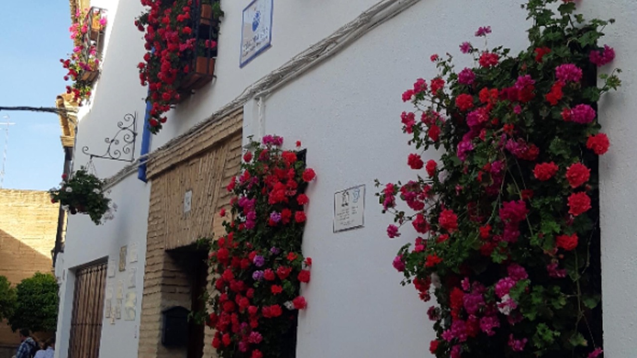 Photo of Outdoor in San Basilio