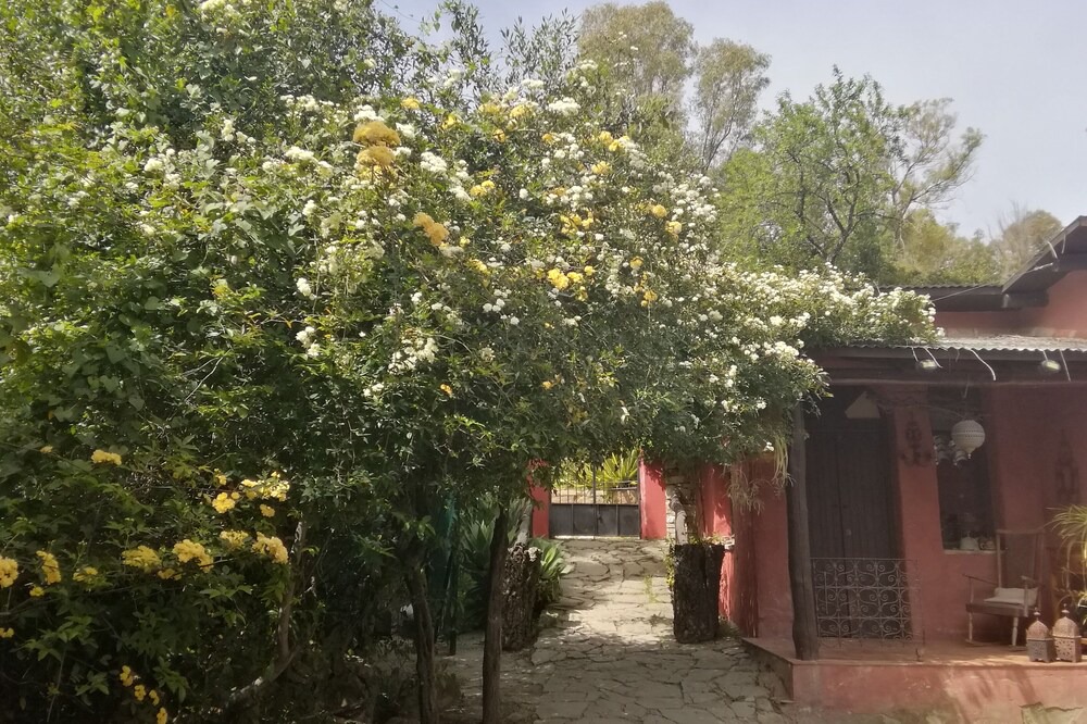 Photo of Others in Gaucin