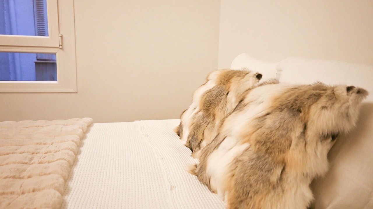 Photo of Bedroom in Almagro