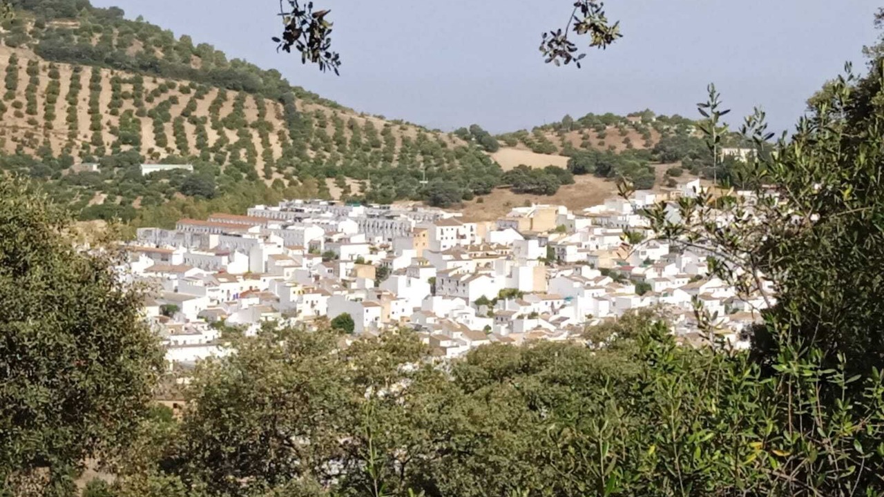 Photo of Outdoor in Prado del Rey