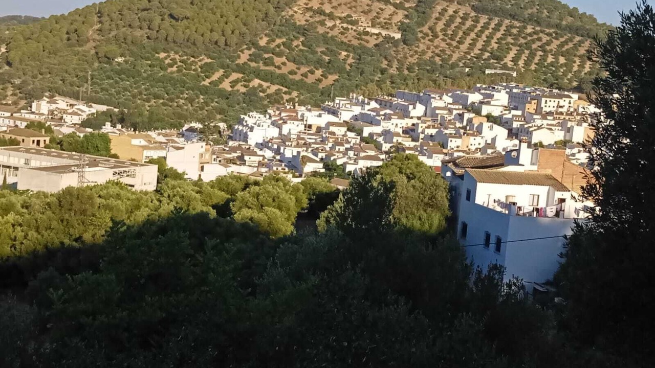 Photo of Outdoor in Prado del Rey