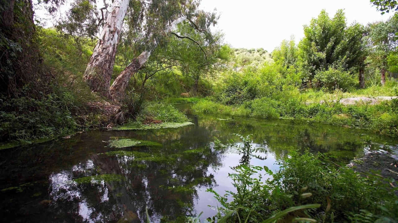 Photo of Others in El Bosque