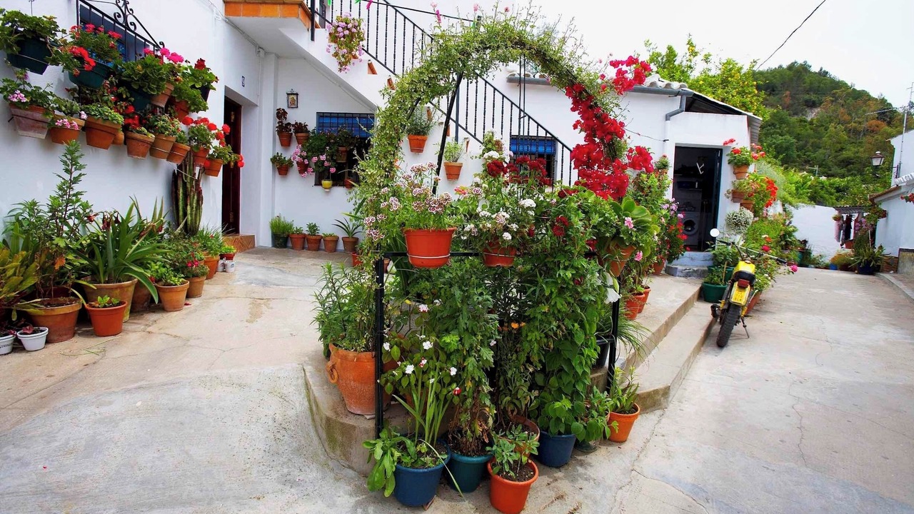 Photo of Outdoor in El Bosque
