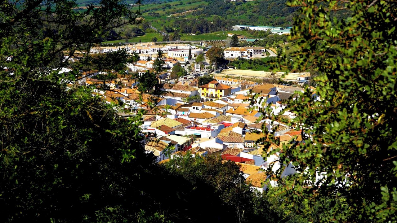 Photo of Outdoor in El Bosque