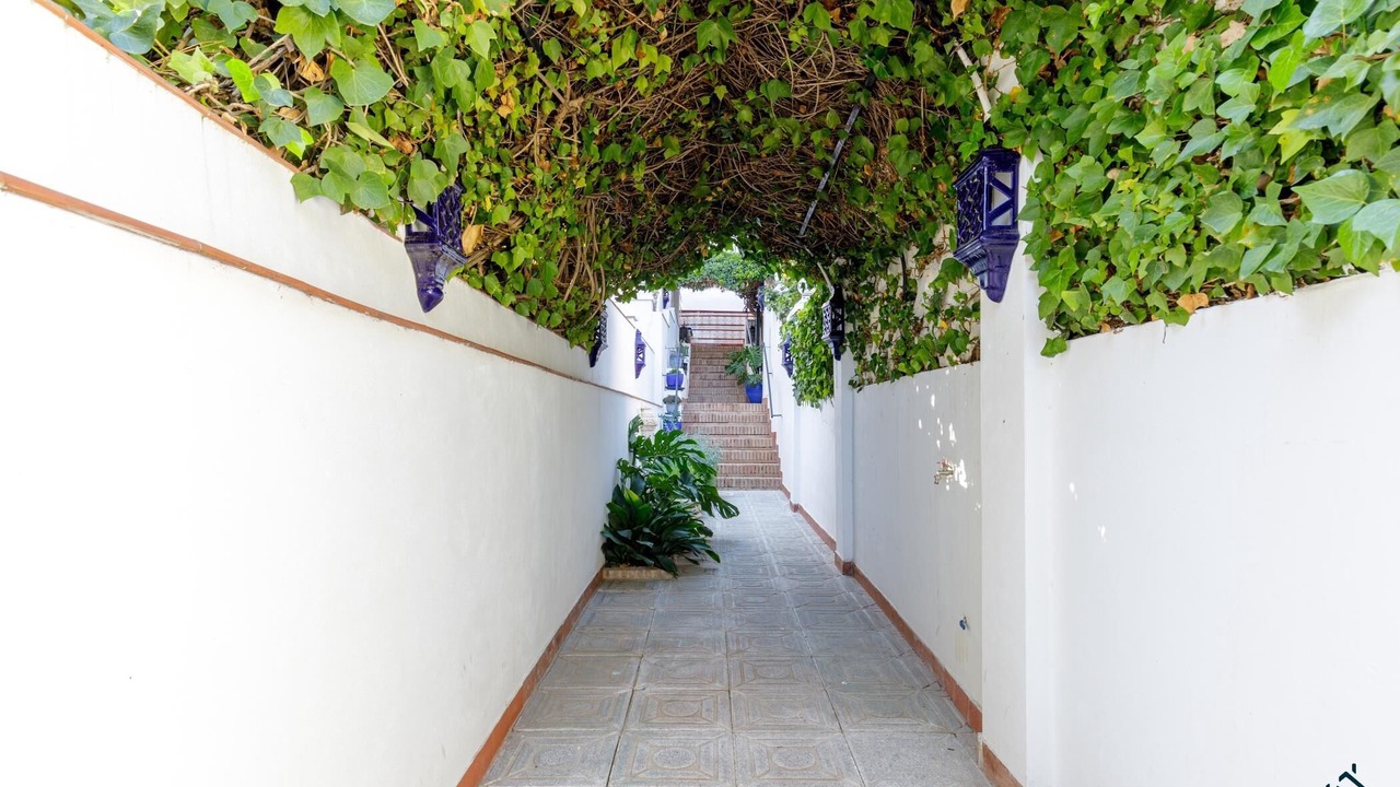 Photo of Outdoor in Pedregalejo