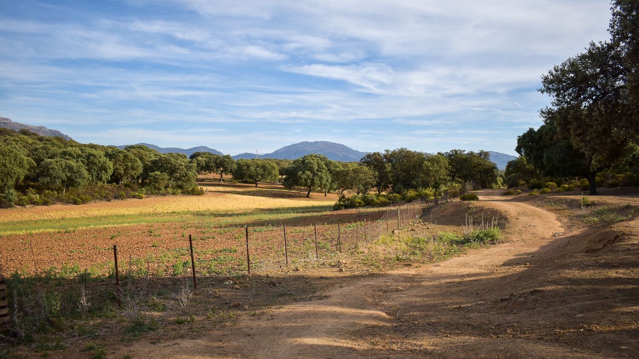 Photo of Others in Archidona