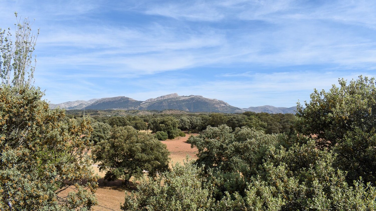 Photo of Outdoor in Archidona