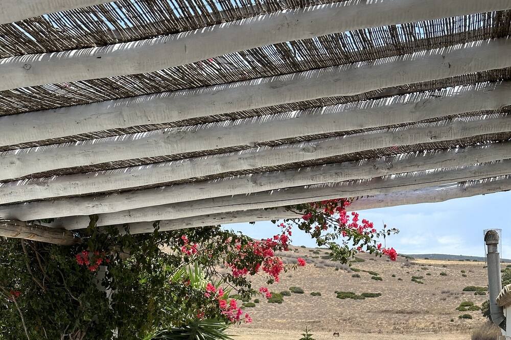 Photo of Outdoor in El Almarchal