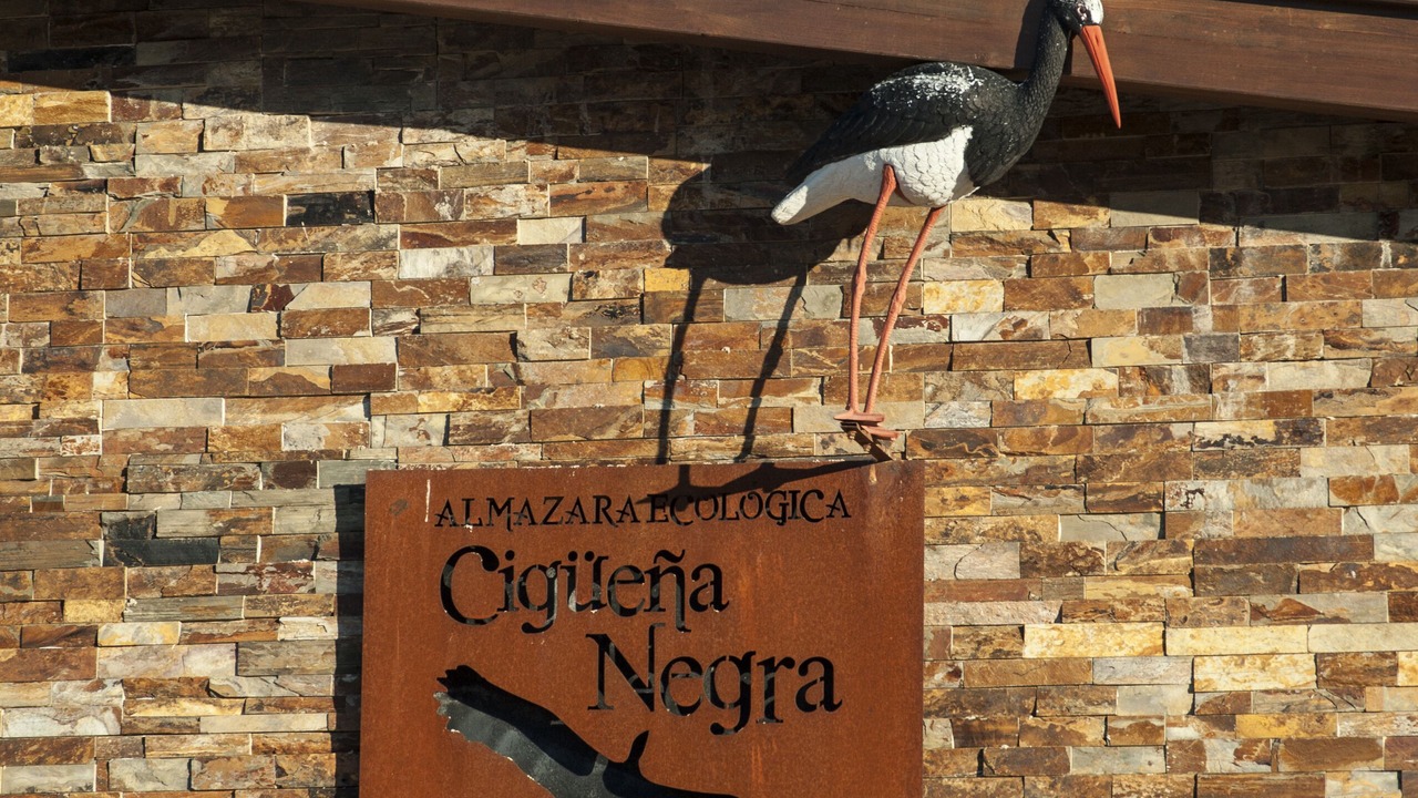 Photo of Outdoor in Valverde del Fresno
