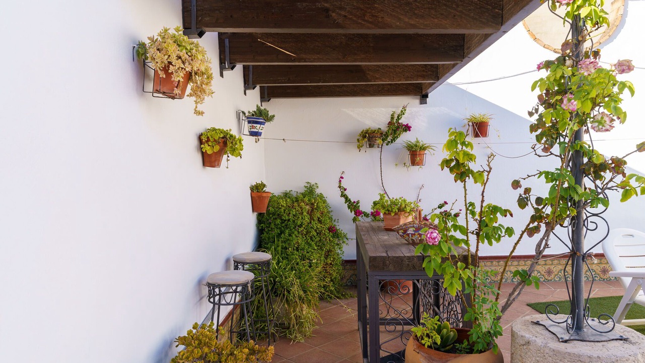 Photo of Outdoor in Alameda