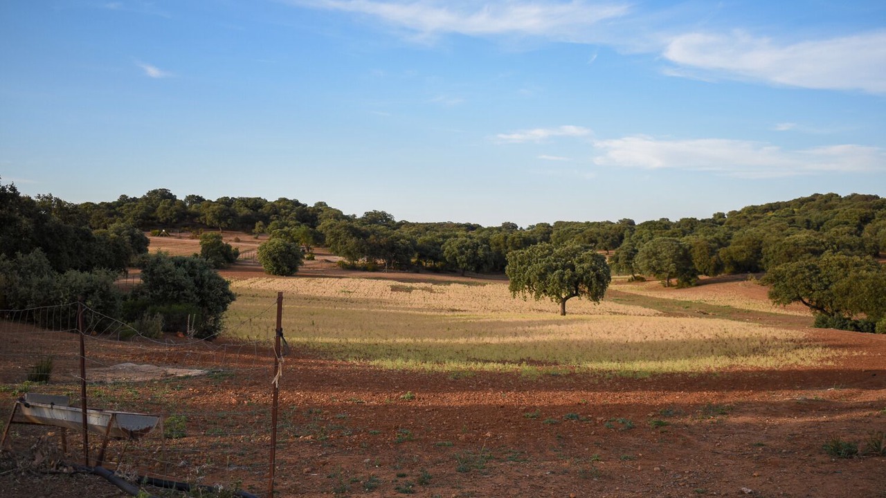 Photo of Others in Archidona