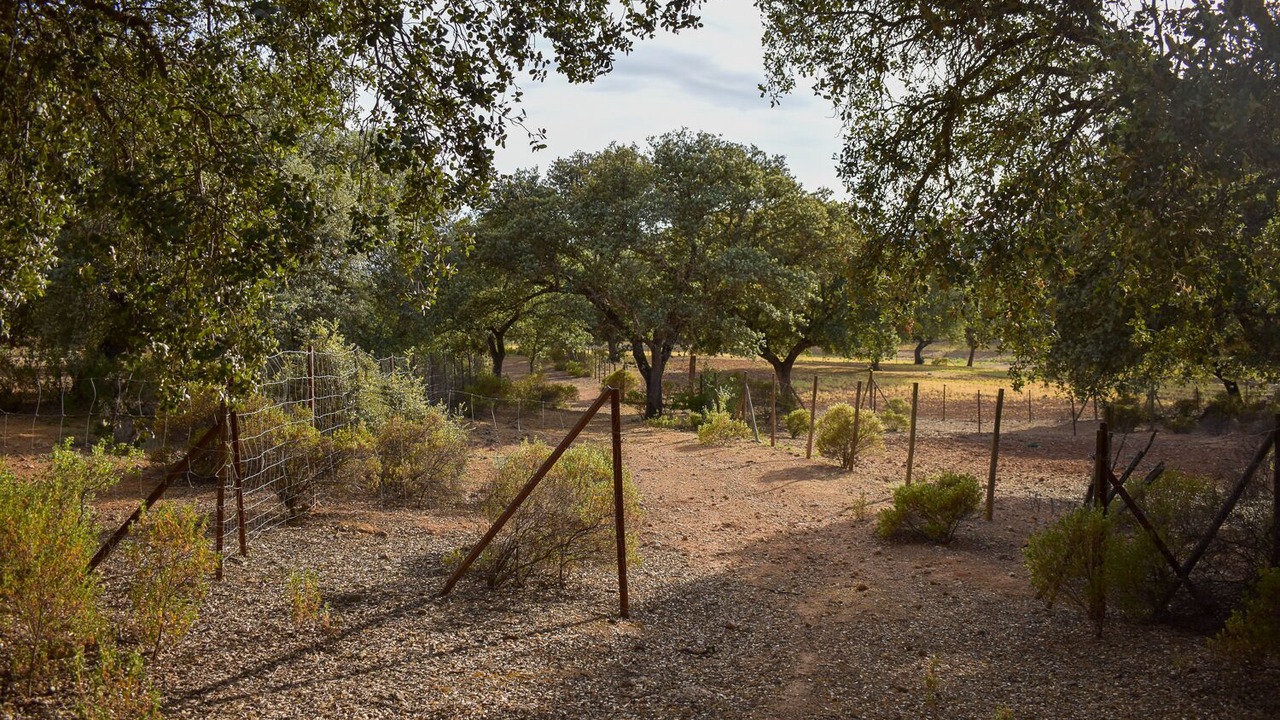 Photo of Outdoor in Archidona