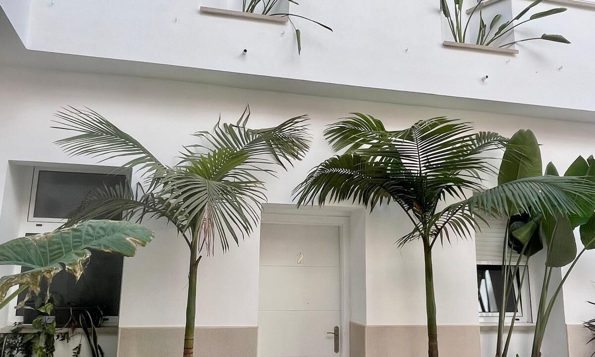 Photo of Patio Balcony in Rio Velez