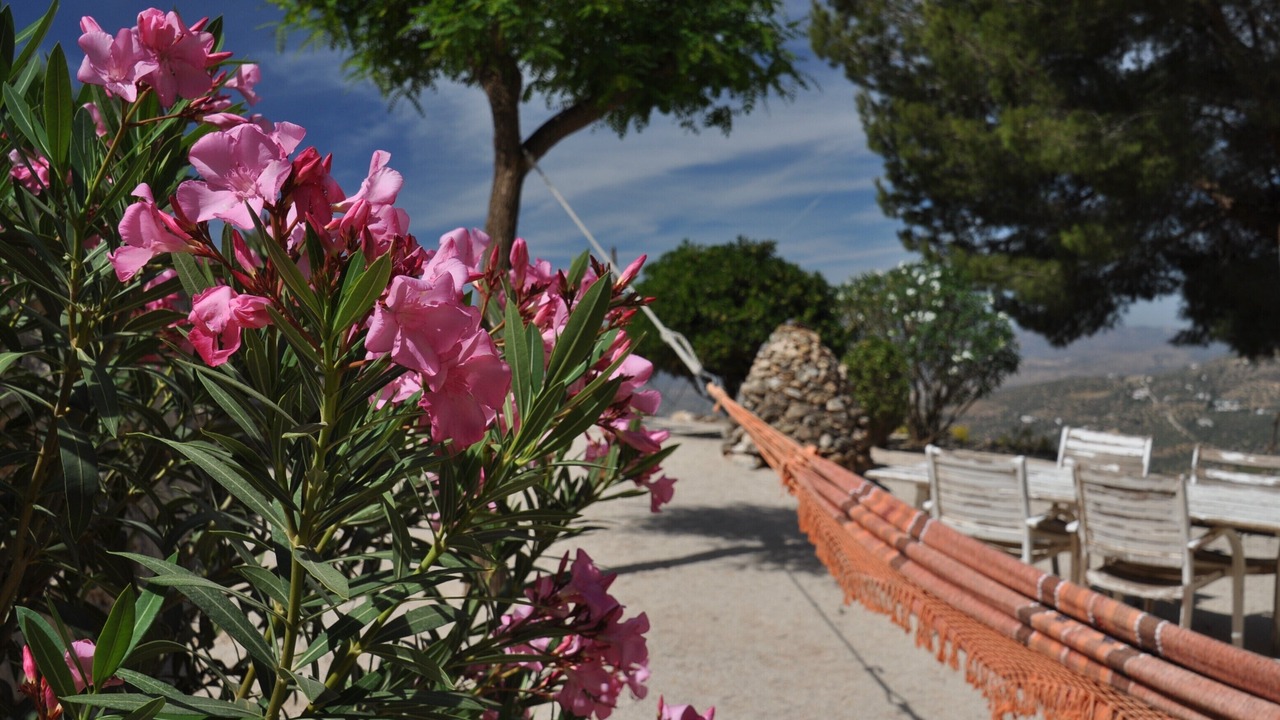 Photo of Outdoor in Alcaucin