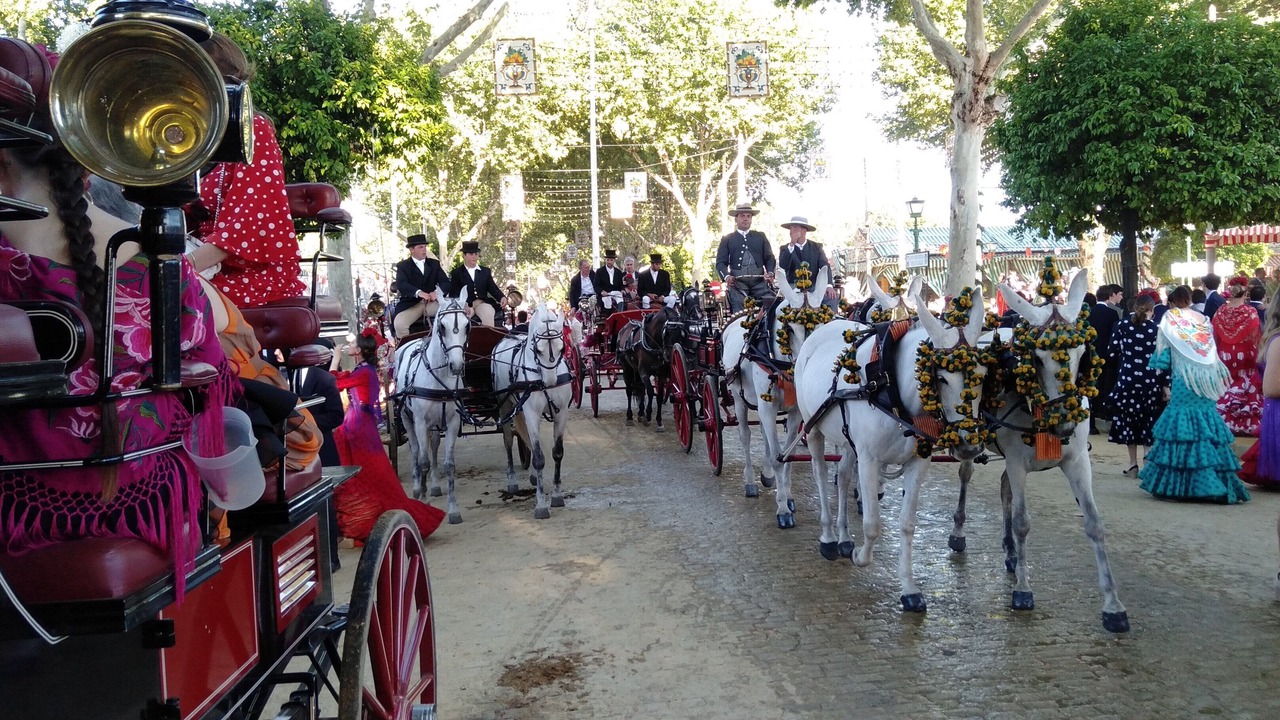 Photo of Others in El Palmar