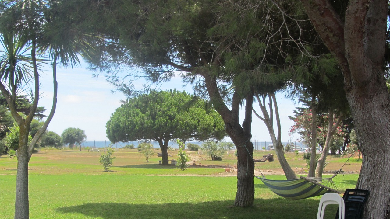 Photo of Outdoor in El Palmar