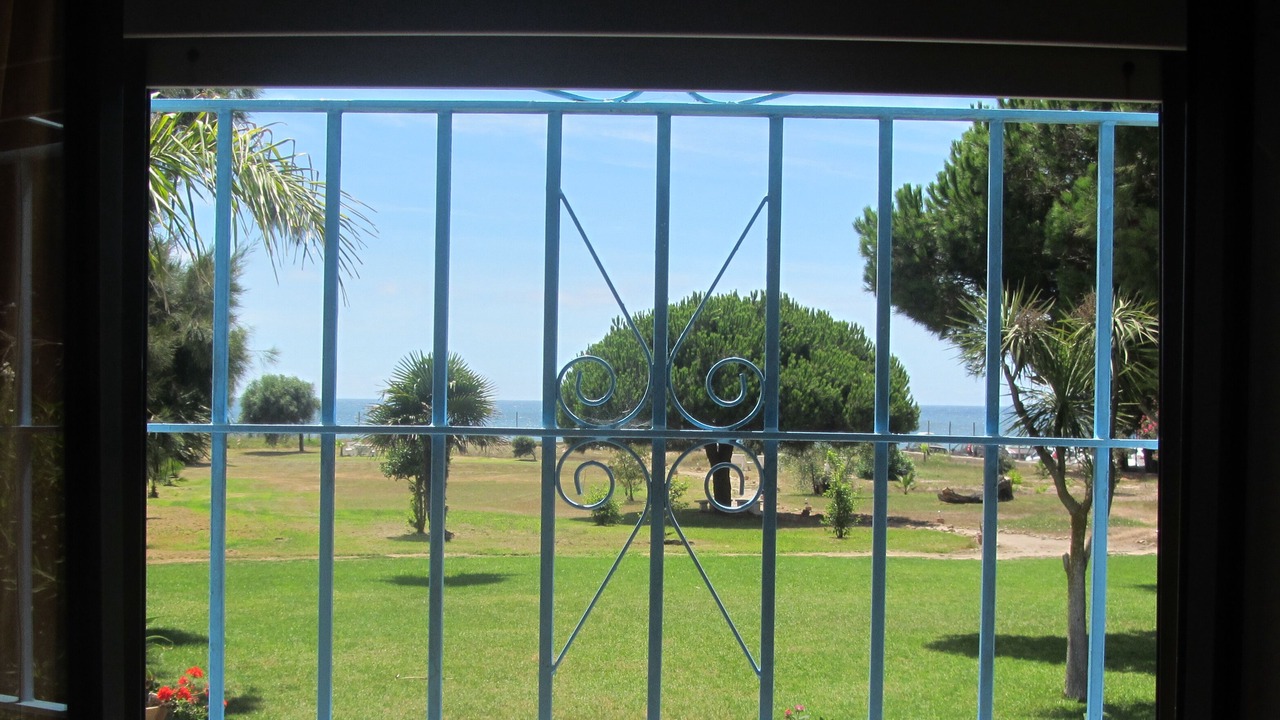 Photo of Others in El Palmar