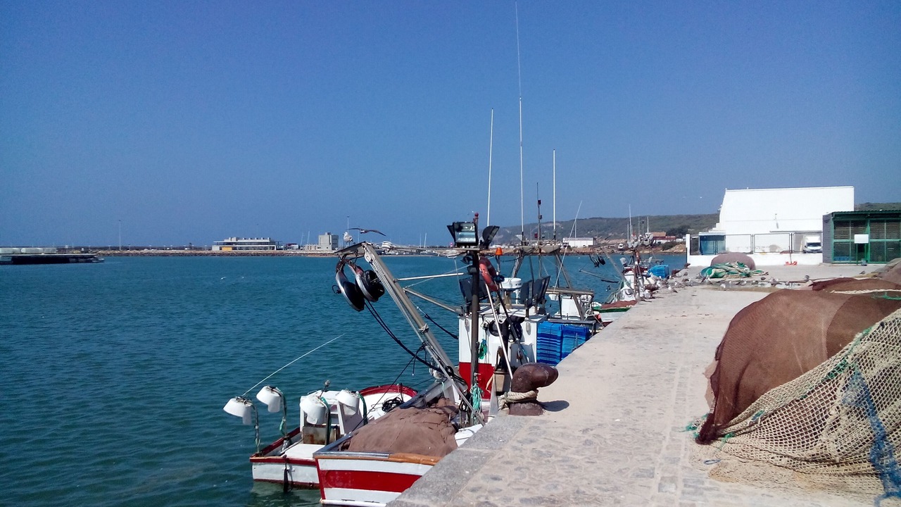 Photo of Others in El Palmar