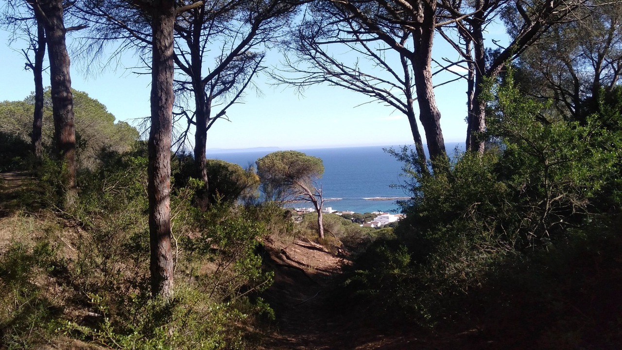 Photo of Outdoor in El Palmar