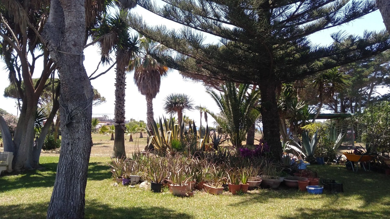 Photo of Outdoor in El Palmar